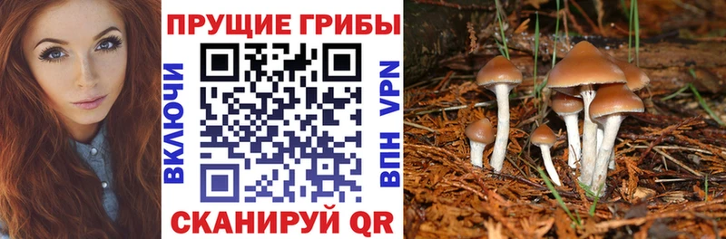 мориарти формула  Иннополис  Галлюциногенные грибы мухоморы 